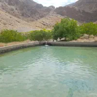 فروش مزرعه ۶ دانگ شخصی|فروش زمین و ملک کلنگی|بوانات, |دیوار