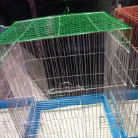 کلکسیون قفس پرنده|لوازم جانبی حیوانات|تربت‌حیدریه, شهید قرنی|دیوار