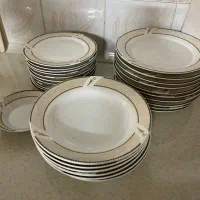 ظروف جینی
