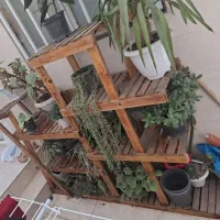 استند