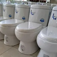 فروش انواع چینی بهداشتی|لوازم سرویس بهداشتی|ماکو, |دیوار