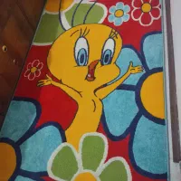 گلیم نو