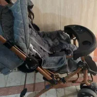 کالسکه دلیجان در حد نو