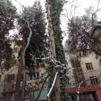 تهاتر-کلنگی-و-فروش-نقدی
