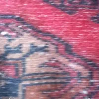 فروش|فرش|هچیرود, |دیوار