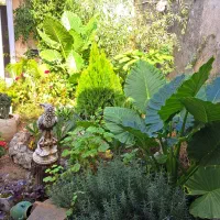 خونه مسافر|اجارهٔ کوتاه‌مدت آپارتمان و سوئیت|رشت, لاکان شهر|دیوار