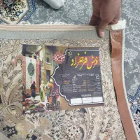 فرش 1000شانه درجه یک فرحزاد|فرش|آران و بیدگل, |دیوار