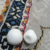 سنگ  قدیمی|کلکسیون اشیاء عتیقه|سنندج, |دیوار