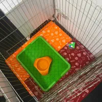 قفس سگ بزرگ و محکم