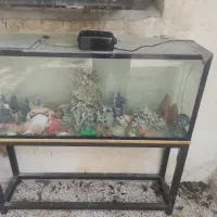آکواریوم جهت معاوضه وفروش