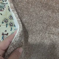 موکت|موکت|مشهد, هفت تیر (نه دره)|دیوار