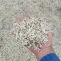 تفاله چغندر قند|عمدهفروشی|چهاربرج, |دیوار