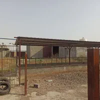 فروش ۳ هکتار و دامداری مجوزدار در جاده ملاعلی تپه|فروش دفتر صنعتی، کشاورزی، تجاری|گنبد کاووس, |دیوار