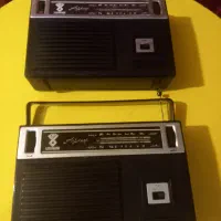 دو رادیو قدیمی یکی سالم ودیگری هم روشن میشه|کلکسیون اشیاء عتیقه|بندرعباس, |دیوار