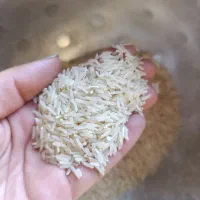 برنج فجر|خوردنی و آشامیدنی|جلین, |دیوار