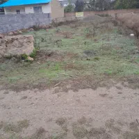 زمین فروشی ۳۰۰متر درمیر افضل|فروش زمین و ملک کلنگی|کیاسر, |دیوار