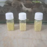 تخم حلزون خاویار حلزون .کلاژن