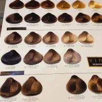 رنگ مو وینکور آلمان Vincor