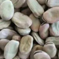 باقالا ناراس یادیرپزدامی(باقالی)