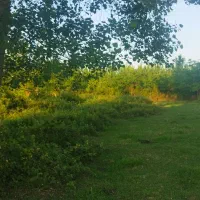 4000متر خونه محوطه جاده انزلی مجاور پارس سیمین