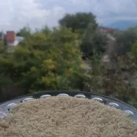 برنج طارم هاشمی