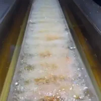 سرخ کن ریلی فلافل زن 170|کافیشاپ و رستوران|شیراز, ابیوردی|دیوار