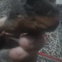 سنگ‌‌‌انتیک‌و‌خاص کمیاب