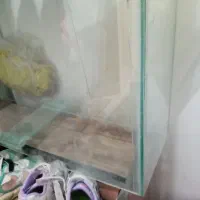 آکواریوم ماهی