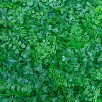 گرین وال گرینوال مصنوعی ۵۰ در ۵۰ دپو|گل مصنوعی|شیراز, اصلاح‌نژاد|دیوار