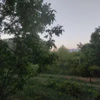 باغ ویلا اجاره ای