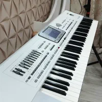 ارگ KORG PA2X