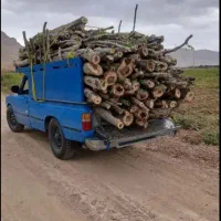 خریدارانواع چوب بابالاترین قیمت نقدنقددرمحل شما|خدمات باغبانی و درختکاری|سرپل ذهاب, |دیوار