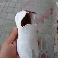 فروش گیوه صنعتی|کیف، کفش، کمربند|مرودشت, ابوذر شمالی|دیوار