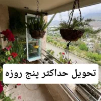 انواع شیشهای سکوریت