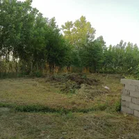 ۳۵۲ متر زمین با جواز ساخت ۱۰۰ متری آماده خلخالیان|فروش زمین و ملک کلنگی|پره‌سر, |دیوار