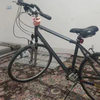 دوچرخه مسابقه ای|دوچرخه، اسکیت، اسکوتر|سیمین شهر, |دیوار