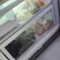 یخچال فریزر سامسونگ|یخچال و فریزر|تربت‌حیدریه, یحیی آباد|دیوار