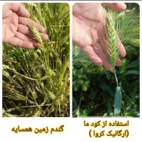 دعوت به همکاری از افراد باتجربه حوزه کشاورزی