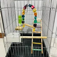 قفس با تجهیزات