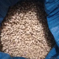 اجاره ۲۰ هکتار در میان جام