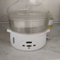 بخار پز واب میوه گیری