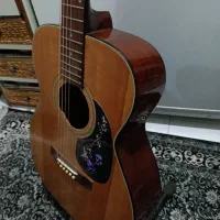 گیتار آکوستیک موریس