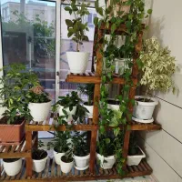 استند گل و دور باغچه ای
