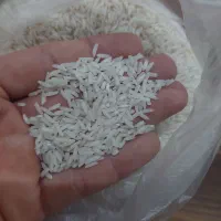 برنج هاشمی اصل درجه یک (۲۰ کیلویی)