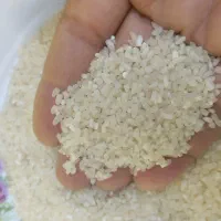 برنج ایرانی وآب نارنج ارگانیک