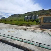 باسکول جهت سیلو و تعاونی های گندم