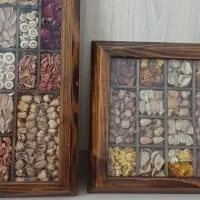قاب گل خشک|صنایع دستی و سایر لوازم تزئینی|مشهد, آزادشهر|دیوار