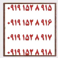 0919.004.007.9|سیم‌کارت|اصفهان, تیران|دیوار