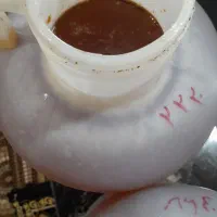 عسل کنار و عسل گون اصل|عمدهفروشی|عسلویه, |دیوار