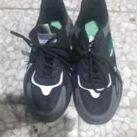 کتانی مردانه نو|کیف، کفش، کمربند|شهریار, شهریار|دیوار